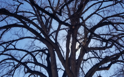 December Events with Arts, Humanities & Social Sciences