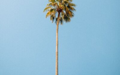 Oral History: Growing up in Pasadena by Elizabeth Fehlner