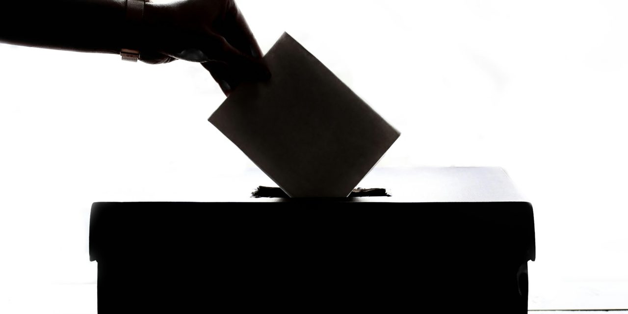 What’s on Your 2026 Ballot?
