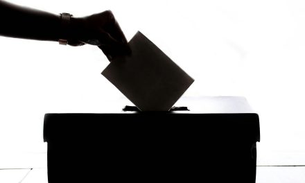 What’s on Your 2026 Ballot?