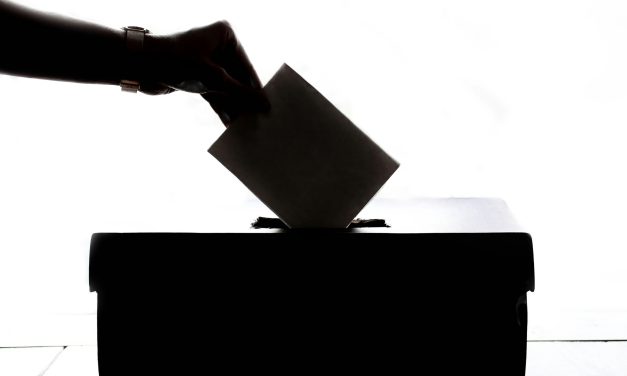 What’s on Your 2026 Ballot?